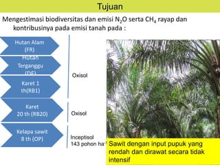 Biodiversitas dan Emisi CH4 serta N2O Paska Alih Guna Hutan menjadi Perkebunan Karet dan Kelapa Sawit di Sumatra
