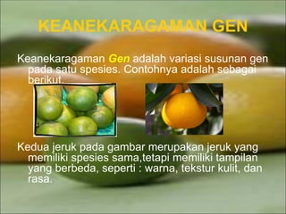 Perkembangan BIODIVERSITAS di Indonesia .ppt