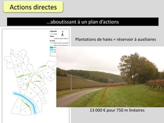 Actions directes
            …aboutissant à un plan d’actions


                        Plantations de haies = réservoir à auxiliaires




                                13 000 € pour 750 m linéaires
 