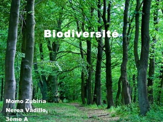 Biodiversité Momo Zubiría Nerea Vadillo, 3ème A 