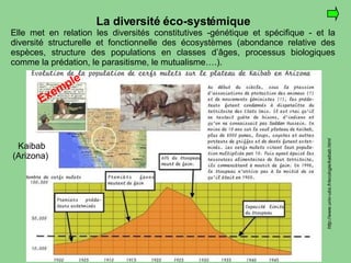 http://www.univ-ubs.fr/ecologie/kaibab.html La diversité éco-systémique Elle met en relation les diversités constitutives -génétique et spécifique - et la diversité structurelle et fonctionnelle des écosystèmes (abondance relative des espèces, structure des populations en classes d’âges, processus biologiques comme la prédation, le parasitisme, le mutualisme….). Kaibab (Arizona)  Exemple 
