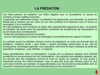 Une forte pression de prédation, loin d’être négative pour un écosystème, lui assure au contraire une bien meilleure diversité. L’explication est relativement simple: un prédateur est opportuniste, par nécessité. Le renard ne décide pas à l’avance que son menu du jour sera constitué d’un lapereau mais s’il trouve un campagnol, il s’en contentera. Plus les prédateurs sont nombreux et variés, plus l’opportuniste augmente et donc : la pression de prédation est diluée entre les populations constituant les peuplements de l’écosystème ce qui provoque deux conséquences: toutes les populations pourront prospérer, aucune des populations ne pourra se développer inconsidérément par rapport à d’autres.  Au contraire quand la prédation diminue (moins de prédateurs ou moins de diversité dans la prédation), certaines proies « plus faciles » seront davantage recherchées et par voie de conséquence, davantage capturées. Leur population diminuera de façon drastique au profit des populations d’espèces « plus difficiles » à capturer.  Assez généralement, dans un écosystème, il existe une ou plusieurs espèces dont l’activité conditionne le fonctionnement de tout l’écosystème. Ces espèces sont appelées espèces clef. Ce peuvent être des prédateurs comme la truite au niveau du ruisseau, le loup quand il fréquentait encore nos milieux forestiers, mais ce peut être aussi des animaux ayant un tout autre type d’activité, par exemple, de type pollinisateur pour les bourdons et les abeilles dont on mesurera l’importance quand ils auront été éliminés par les insecticides !!! LA PREDATION 