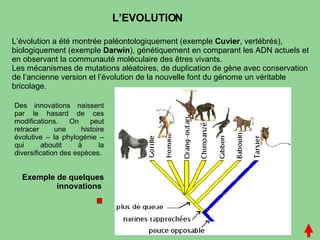 L’EVOLUTION L’évolution a été montrée paléontologiquement (exemple  Cuvier , vertébrés), biologiquement (exemple  Darwin ), génétiquement en comparant les ADN actuels et en observant la communauté moléculaire des êtres vivants. Les mécanismes de mutations aléatoires, de duplication de gène avec conservation de l’ancienne version et l’évolution de la nouvelle font du génome un véritable bricolage. Des innovations naissent par le hasard de ces modifications. On peut retracer une histoire évolutive – la phylogénie – qui aboutit à la diversification des espèces. Exemple de quelques innovations   