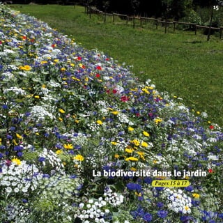 Agir pour la biodiversité ?
Pages 15 à 17
15
La biodiversité dans le jardinLa biodiversité dans le jardinLa biodiversité dans le jardin
BIODIVERSITE brochure210x210 48p_Mise en page 1 22/07/11 12:25 Page15
 