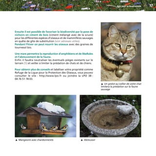 Ensuite il est possible de favoriser la biodiversité par la pose de
nichoirs en ciment de bois (ciment mélangé avec de la sciure)
pour les différentes espèces d’oiseaux et de mammifères sauvages
en quête de gîte de substitution (voir adresses utiles).
Pendant l’hiver on peut nourrir les oiseaux avec des graines de
tournesol bio.
Une mare permettra la reproduction d’amphibiens et de libellules
et l’abreuvement de la faune.
Enfin il faudra neutraliser les éventuels pièges existants sur le
terrain [5] et veiller à limiter la prédation de chats et de chiens.
Pour obtenir plus de conseils et labéliser votre propriété comme
Refuge de la Ligue pour la Protection des Oiseaux, vous pouvez
consulter le site : http://www.lpo.fr ou joindre la LPO 38 :
04 76 51 78 03.
Agir pour la biodiversité 17
Un grelot au collier de votre chat
limitera la prédation sur la faune
sauvage
▼
Mangeoire avec chardonnerets
▼
Abreuvoir
▼
BIODIVERSITE brochure210x210 48p_Mise en page 1 22/07/11 12:25 Page17
 