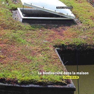 Pages 18 à 20
18
Toiture végétalisée.
La biodiversité dans la maisonLa biodiversité dans la maisonLa biodiversité dans la maison
BIODIVERSITE brochure210x210 48p_Mise en page 1 22/07/11 12:25 Page18
 