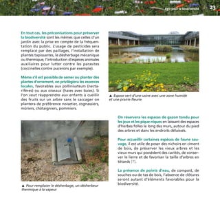 En tout cas, les préconisations pour préserver
la biodiversité sont les mêmes que celles d’un
jardin avec la prise en compte de la fréquen-
tation du public. L’usage de pesticides sera
remplacé par des paillages, l’installation de
plantes tapissantes, le désherbage mécanique
ou thermique, l’introduction d’espèces animales
auxiliaires pour lutter contre les parasites
(coccinelles contre pucerons par exemple).
Même s’il est possible de semer ou planter des
plantes d’ornement, on privilégiera les essences
locales, favorables aux pollinisateurs (necta-
rifères) ou aux oiseaux (haies avec baies). Si
l’on veut réapprendre aux enfants à cueillir
des fruits sur un arbre sans le saccager on
plantera de préférence noisetier, cognassiers,
mûriers, châtaigniers, pommiers.
On réservera les espaces de gazon tondu pour
les jeux et les pique-niques en laissant des espaces
d’herbes folles le long des murs, autour du pied
des arbres et dans les endroits délaissés.
Pour accueillir certaines espèces de faune sau-
vage, il est utile de poser des nichoirs en ciment
de bois, de préserver les vieux arbres et les
vieux murs qui possèdent des cavités, de conser-
ver le lierre et de favoriser la taille d’arbres en
têtards [7].
La présence de points d’eau, de compost, de
souches ou de tas de bois, l’absence de clôtures
seront autant d’éléments favorables pour la
biodiversité.
Agir pour la biodiversité 23
Espace vert d’une usine avec une zone humide
et une prairie fleurie
▼
Pour remplacer le désherbage, un désherbeur
thermique à la vapeur
▼
BIODIVERSITE brochure210x210 48p_Mise en page 1 22/07/11 12:25 Page23
 