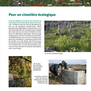 Pour un cimetière écologique
Il est de tradition en France de concevoir et
d’entretenir les cimetières de façon très miné-
rale : tombes en pierres, fleuries de plantes en
pot ou de bouquets temporaires, allées
gravillonnées désherbées chimiquement, murs
d’enceinte dénudés. On considère que le respect
des morts doit se voir dans l’entretien et l’ab-
sence de végétation spontanée. Dans les pays
anglo-saxons, certains cimetières sont entrete-
nus différemment. Les murs sont remplacés par
des haies champêtres. La pelouse pousse entre
les tombes. Il y a des arbres, des nichoirs pour
les oiseaux et des prairies fleuries sur les tombes
non entretenues. La ville de Grenoble com-
mence à faire évoluer le cimetière des Sablons
avec ces principes.
Agir pour la biodiversité 25
Un mur
de cimetière
peut accueillir
une grande
biodiversité
▼
Nichoirs collectifs
pour moineaux et
lézards des murailles
réalisés avec des
moellons creux
Ancien cimetière anglais
▼
▼
BIODIVERSITE brochure210x210 48p_Mise en page 1 22/07/11 12:25 Page25
 
