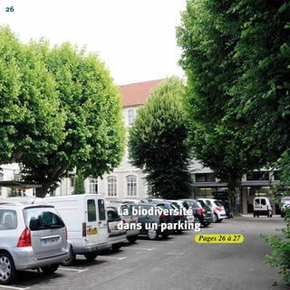 Pages 26 à 27
26
La biodiversité
dans un parking
La biodiversité
dans un parking
La biodiversité
dans un parking
BIODIVERSITE brochure210x210 48p_Mise en page 1 22/07/11 12:25 Page26
 