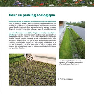 Pour un parking écologique
Même un parking en extérieur peut devenir un lieu de biodiversité.
Tout d’abord on évitera de stériliser totalement le sol par un
enrobé ou du béton. Il existe des pavages qui laissent pousser un
gazon dans les interstices. Cela permet d’absorber les eaux pluviales,
de verdir l’environnement, de préserver la vie du sol et des racines.
Les ruissellements peuvent être dirigés vers des fossés enherbés
proches (noues). On plantera des arbres d’essences locales offrant
ombre et protection contre la pluie sans tâcher les voitures (éviter
mûrier, cerisier, sureau). Dans ces arbres quelques nichoirs pour
moineaux domestiques (rouges-queues, bergeronnettes grises)
peuvent être installés au-dessus d’une surface en pelouse. Si le
terrain ne se prête pas à la plantation d’arbres on peut faire
pousser une végétation grimpante sur des tonnelles (glycine, vigne
vierge, chèvrefeuille).
Agir pour la biodiversité 27
Parking écologique
▼
Fossé végétalisé (noue) pour
recueillir les eaux de ruissellements
d’un parking ou d’une voirie
▼
BIODIVERSITE brochure210x210 48p_Mise en page 1 22/07/11 12:25 Page27
 