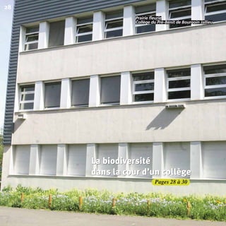 Pages 28 à 30
28
La biodiversité
dans la cour d’un collège
Prairie fleurie
Collège du Pré-Bénit de Bourgoin Jallieu
La biodiversité
dans la cour d’un collège
La biodiversité
dans la cour d’un collège
BIODIVERSITE brochure210x210 48p_Mise en page 1 22/07/11 12:25 Page28
 