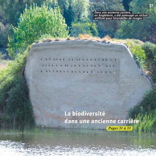 Agir pour la biodiversité ?
Pages 31 à 33
31
La biodiversité
dans une ancienne carrière
Dans une ancienne carrière,.
en Angleterre, a été aménagé un nichoir.
artificiel pour hirondelles de rivages.
La biodiversité
dans une ancienne carrière
La biodiversité
dans une ancienne carrière
BIODIVERSITE brochure210x210 48p_Mise en page 1 22/07/11 12:26 Page31
 