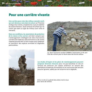 Pour une carrière vivante
Une carrière peut créer des milieux naturels neufs
qui sont devenus rares dans la nature car l’homme
endigue les rivières, empêche les crues et stabilise
les zones d’érosion. Aussi la faune et la flore qui ne
vivent que dans ce type de milieux sont rares et
menacés.
Dans ces conditions, les associations de protection
de la nature et les carriers ont bien compris que
l’aménagement intelligent de sites d’anciennes
carrières de matériaux alluvionnaires ou de roches
massives pouvait être un bon moyen pour préserver
et maintenir des espèces animales et végétales
particulières.
Les études d’impact et les plans de réaménagements peuvent
proposer diverses mesures pour ne pas banaliser le site en
tentant de restaurer son aspect antérieur en faisant des
plantations d’essences d’ornement ou en recouvrant des terrains
pauvres (gravier, sable) par de la bonne terre végétale.
Agir pour la biodiversité32
Dans l’ancienne carrière CARBIEV, l’association Le Pic vert
crée des nichoirs pour la faune dans des tas de cailloux
▼
Sur ce site on a planté des arbres morts creux
pour servir de nichoirs
▼
BIODIVERSITE brochure210x210 48p_Mise en page 1 22/07/11 12:26 Page32
 