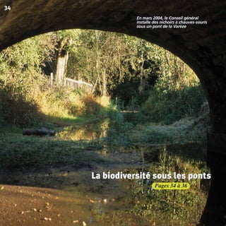 Pages 34 à 36
34
La biodiversité sous les ponts
En mars 2004, le Conseil général
installe des nichoirs à chauves-souris
sous un pont de la Varèze
La biodiversité sous les pontsLa biodiversité sous les ponts
BIODIVERSITE brochure210x210 48p_Mise en page 1 22/07/11 12:26 Page34
 