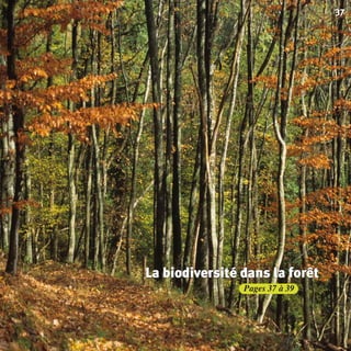 Agir pour la biodiversité ?
Pages 37 à 39
37
La biodiversité dans la forêtLa biodiversité dans la forêtLa biodiversité dans la forêt
BIODIVERSITE brochure210x210 48p_Mise en page 1 22/07/11 12:26 Page37
 