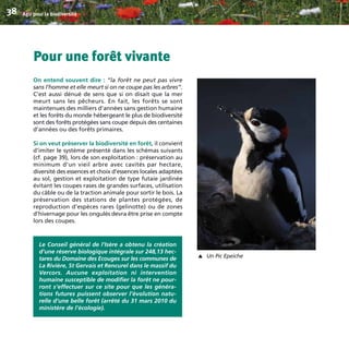 Pour une forêt vivante
On entend souvent dire : “la forêt ne peut pas vivre
sans l’homme et elle meurt si on ne coupe pas les arbres”.
C’est aussi dénué de sens que si on disait que la mer
meurt sans les pêcheurs. En fait, les forêts se sont
maintenues des milliers d’années sans gestion humaine
et les forêts du monde hébergeant le plus de biodiversité
sont des forêts protégées sans coupe depuis des centaines
d’années ou des forêts primaires.
Si on veut préserver la biodiversité en forêt, il convient
d’imiter le système présenté dans les schémas suivants
(cf. page 39), lors de son exploitation : préservation au
minimum d’un vieil arbre avec cavités par hectare,
diversité des essences et choix d’essences locales adaptées
au sol, gestion et exploitation de type futaie jardinée
évitant les coupes rases de grandes surfaces, utilisation
du câble ou de la traction animale pour sortir le bois. La
préservation des stations de plantes protégées, de
reproduction d’espèces rares (gelinotte) ou de zones
d’hivernage pour les ongulés devra être prise en compte
lors des coupes.
Agir pour la biodiversité38
Le Conseil général de l’Isère a obtenu la création
d’une réserve biologique intégrale sur 248,13 hec-
tares du Domaine des Ecouges sur les communes de
La Rivière, St Gervais et Rencurel dans le massif du
Vercors. Aucune exploitation ni intervention
humaine susceptible de modifier la forêt ne pour-
ront s’effectuer sur ce site pour que les généra-
tions futures puissent observer l’évolution natu-
relle d’une belle forêt (arrêté du 31 mars 2010 du
ministère de l’écologie).
Un Pic Epeiche
▼
BIODIVERSITE brochure210x210 48p_Mise en page 1 22/07/11 12:26 Page38
 