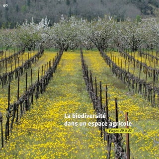 Pages 40 à 42
40
La biodiversité
dans un espace agricole
La biodiversité
dans un espace agricole
La biodiversité
dans un espace agricole
BIODIVERSITE brochure210x210 48p_Mise en page 1 22/07/11 12:26 Page40
 
