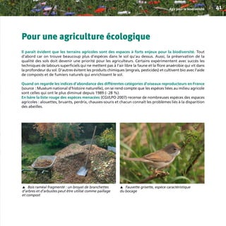 Pour une agriculture écologique
Il paraît évident que les terrains agricoles sont des espaces à forts enjeux pour la biodiversité. Tout
d’abord car on trouve beaucoup plus d’espèces dans le sol qu’au dessus. Aussi, la préservation de la
qualité des sols doit devenir une priorité pour les agriculteurs. Certains expérimentent avec succès les
techniques de labours superficiels qui ne mettent pas à l’air libre la faune et la flore anaérobie qui vit dans
la profondeur du sol. D’autres évitent les produits chimiques (engrais, pesticides) et cultivent bio avec l’aide
de composts et de fumiers naturels qui enrichissent le sol.
Quand on regarde les indices d’abondance des différentes catégories d’oiseaux reproducteurs en France
(source : Muséum national d’histoire naturelle), on se rend compte que les espèces liées au milieu agricole
sont celles qui ont le plus diminué depuis 1989 (- 28 %).
En Isère la liste rouge des espèces menacées (CGI/LPO 2007) recense de nombreuses espèces des espaces
agricoles : alouettes, bruants, perdrix, chauves-souris et chacun connaît les problèmes liés à la disparition
des abeilles.
Agir pour la biodiversité 41
Bois raméal fragmenté : un broyat de branchettes
d’arbres et d’arbustes peut être utilisé comme paillage
et compost
▼
Fauvette grisette, espèce caractéristique
du bocage
▼
BIODIVERSITE brochure210x210 48p_Mise en page 1 22/07/11 12:26 Page41
 