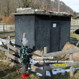 Agir pour la biodiversité ?
Pages 43 à 44
43
La biodiversité
dans un bâtiment abandonné
La biodiversité
dans un bâtiment abandonné
La biodiversité
dans un bâtiment abandonné
BIODIVERSITE brochure210x210 48p_Mise en page 1 22/07/11 12:26 Page43
 