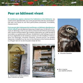Pour un bâtiment vivant
De nombreuses espèces colonisent les habitations et les bâtiments. Les
constructions abandonnées, les ruines peuvent être des lieux de biodiver-
sité avec une faune et une flore particulières (chouettes, hirondelles,
chauves-souris).
Il est souvent plus intéressant de transformer un bâtiment abandonné en
nichoir collectif que de dépenser beaucoup d’argent pour le démolir et l’en-
voyer en décharge. C’est ce qu’a fait la commune de St Etienne de Crossey
avec l’ancien transformateur de la station d’épuration qui a été fermée et
raccordée à un système plus efficace. Ce bâtiment a été nettoyé, le toit et
les murs végétalisés et de nombreux nichoirs ont été installés à l’intérieur
(pour les mésanges, chouette chevêche, chauves-souris). Les guêpes
maçonnes s’installent sur les murs et les hérissons et les fouines peuvent
s’y réfugier dans le rez-de-chaussée rempli de foin.
Agir pour la biodiversité44
Nichoirs pour abeilles solitaires
dont l’intérieur est visible
▼
Chouette Chevêche
▼
Mur à insectes
pour abeilles solitaires
▼
BIODIVERSITE brochure210x210 48p_Mise en page 1 22/07/11 12:26 Page44
 