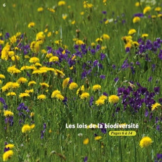 Pages 6 à 14
6
Les lois de la biodiversitéLes lois de la biodiversitéLes lois de la biodiversité
BIODIVERSITE brochure210x210 48p_Mise en page 1 22/07/11 12:25 Page6
 