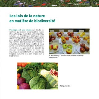 Les lois de la nature
en matière de biodiversité
L’écologie est une science qui étudie les
relations qui existent entre les êtres vivants
(faune, flore) qui vivent dans un même milieu
naturel. Les scientifiques écologues nous
apprennent que la biodiversité est essentielle
pour garantir la stabilité des écosystèmes et
la pérennité des ressources alimentaires et
naturelles qui sont indispensables à notre
survie. Sans rentrer dans le détail du fonction-
nement des écosystèmes il est possible de
dégager quelques notions de base qui
s’appliquent concrètement aux activités de
l’espèce humaine et à son impact sur la
biodiversité.
Agir pour la biodiversité 7
En Isère il y a beaucoup de variétés anciennes
de pommes
▼
Légumes bio
▼
BIODIVERSITE brochure210x210 48p_Mise en page 1 22/07/11 12:25 Page7
 