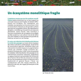 Un écosystème monolithique fragile
L’expérience montre que tous les systèmes monoli-
thiques basés entièrement sur un seul support ou
une seule ressource sont fragiles. Ils résistent diffici-
lement aux accidents, aux intempéries, aux
maladies, aux parasites ou à la concurrence. Ainsi
la monoculture intensive sur de grandes surfaces
agricoles est susceptible d’attirer des déprédateurs
(sangliers, corneilles) qui trouvent là une ressource
abondante, facile d’accès. Cela contribue à
favoriser la pullulation de ces espèces et les dégâts
qu‘elles causent sur une culture. Il en est de même
pour des maladies ou des parasites (chrysomèle du
maïs) qui arrivent sur ces champs.
En outre une réduction de la biodiversité diminue
la variété des paysages au travers de la mosaïque
des milieux naturels ou anthropiques. Toute forme
de monoculture (agricole, forestière) induit une
intervention humaine toujours en augmentation
comme par exemple l’usage d’intrants (ex :
produits chimiques pour lutter contre les parasites
et maladies). Cette banalisation des paysages et ces
interventions humaines intensives, engendrent
un appauvrissement sans précédent de la diversité
de la faune et de la flore du sol qui est à la base
de tous les écosystèmes et donc la réduction de la
biodiversité en général (faune / flore). Les
conséquences sont des risques d’érosion, de
pollutions des sols, des nappes phréatiques et des
cours d’eau.
Agir pour la biodiversité8
Champ de maïs
▼
BIODIVERSITE brochure210x210 48p_Mise en page 1 22/07/11 12:25 Page8
 