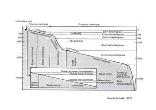(d’après Ramade, 1987)
 