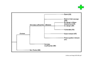 Critères Liste Rouge UICN 2001.pdf
Critères Liste Rouge UICN 2001 pdf
 