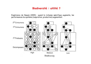 Biodiversité : utilité ?

Expérience de Naeem (1994) : quand la richesse spécifique augmente, les
performances du système (respiration production) augmentent
                        (respiration,            augmentent.
 