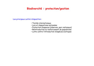 Biodiversité : protection/gestion


Les principaux outils à disposition :

                       • Traités internationaux
                       • Lois et dispositions nationales
                       • Protection d’espaces (réserves, parc nationaux)
                       • Réintroduction ou renforcement de populations
                       • Lutte contre l’introduction d’espèces exotiques
 