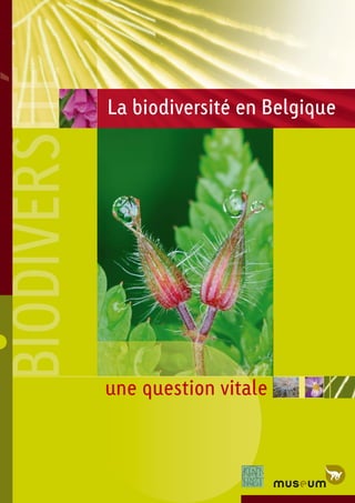 La biodiversité en Belgique
BIODIVERSITBIODIVERSITBIODIVERSITBIODIVERSITBIODIVERSITÉÉ
une question vitale
 