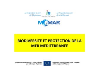 BIODIVERSITE ET PROTECTION DE LA
      MER MEDITERRANEE
 