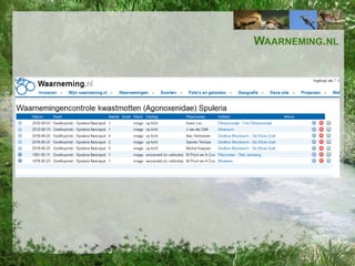 WAARNEMING.NL

 