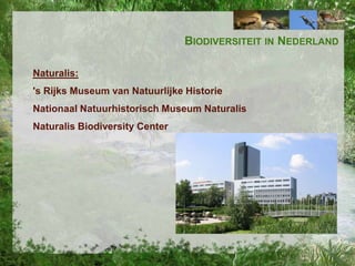 BIODIVERSITEIT IN NEDERLAND
Naturalis:

's Rijks Museum van Natuurlijke Historie
Nationaal Natuurhistorisch Museum Naturalis
Naturalis Biodiversity Center

 