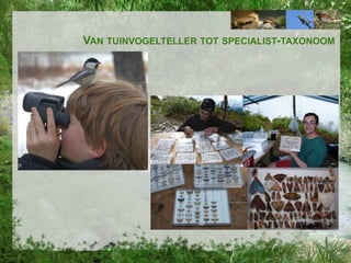 VAN TUINVOGELTELLER TOT SPECIALIST-TAXONOOM

 