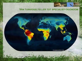 VAN TUINVOGELTELLER TOT SPECIALIST-TAXONOOM

 