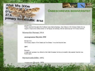 ONBESCHREVEN BIODIVERSITEIT

 