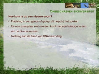 ONBESCHREVEN BIODIVERSITEIT
Hoe kom je op een nieuwe soort?
• Plaatsing in een genus of groep: dit helpt bij het zoeken.
• Als een exemplaar niet overeen komt met een holotype in een
van de diverse musea.
• Toetsing aan de hand van DNA barcoding.

 