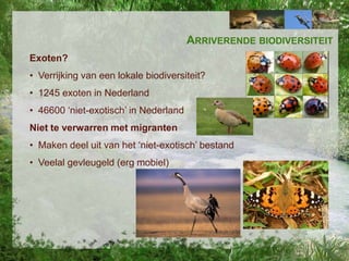 ARRIVERENDE BIODIVERSITEIT
Exoten?
• Verrijking van een lokale biodiversiteit?
• 1245 exoten in Nederland
• 46600 ‘niet-exotisch’ in Nederland
Niet te verwarren met migranten
• Maken deel uit van het ‘niet-exotisch’ bestand

• Veelal gevleugeld (erg mobiel)

 