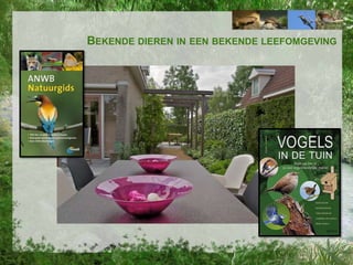 BEKENDE DIEREN IN EEN BEKENDE LEEFOMGEVING

 