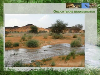 ONZICHTBARE BIODIVERSITEIT

 