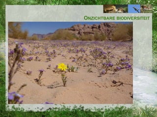 ONZICHTBARE BIODIVERSITEIT

 