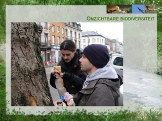 ONZICHTBARE BIODIVERSITEIT

 