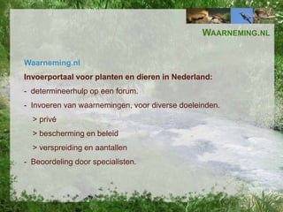 WAARNEMING.NL
Waarneming.nl
Invoerportaal voor planten en dieren in Nederland:
- determineerhulp op een forum.
- Invoeren van waarnemingen, voor diverse doeleinden.
> privé
> bescherming en beleid
> verspreiding en aantallen
- Beoordeling door specialisten.

 