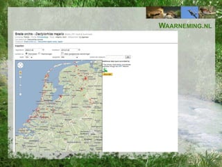 WAARNEMING.NL

 