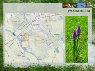 WAARNEMING.NL

 