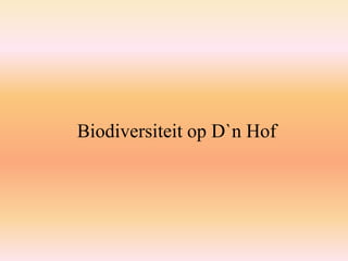 Biodiversiteit op D`n Hof

 
