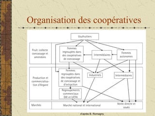 Organisation des coopératives d’apr ès   B. Romagny 