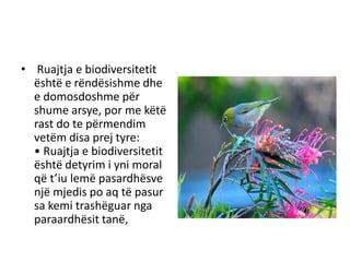• Ruajtja e biodiversitetit
është e rëndësishme dhe
e domosdoshme për
shume arsye, por me këtë
rast do te përmendim
vetëm ...